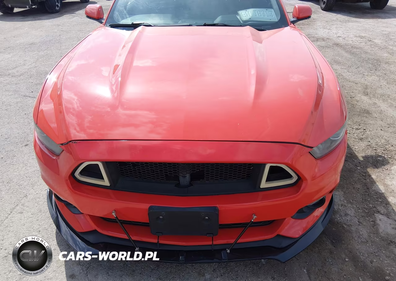 2016 Ford Mustang Ecoboost VIN:1FA6P8TH8G5280582 - 12