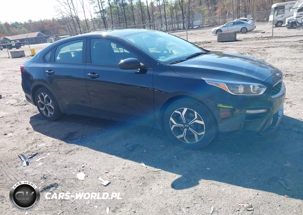 2019 Kia Forte Lxs