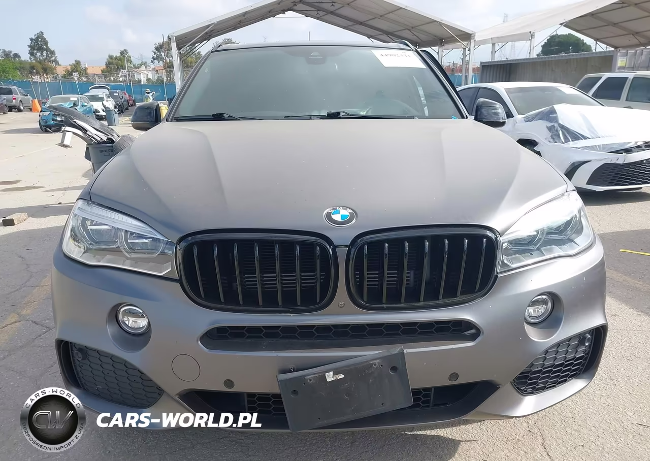 2018 BMW X5 Edrive xDrive40E Iperformance VIN:5UXKT0C55J0V98688 - 12