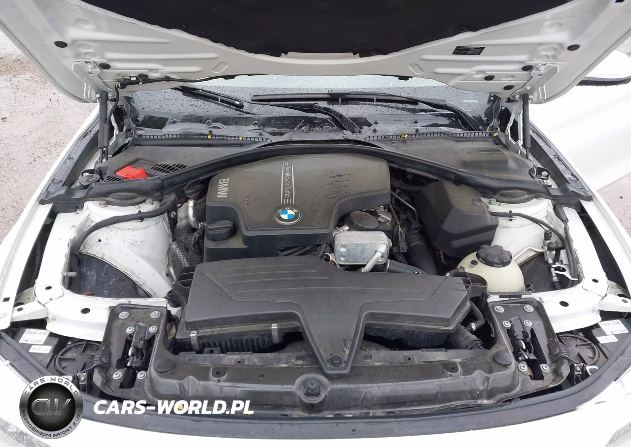2014 BMW 428I xDrive VIN:WBA3N5C59EF716481 - 10