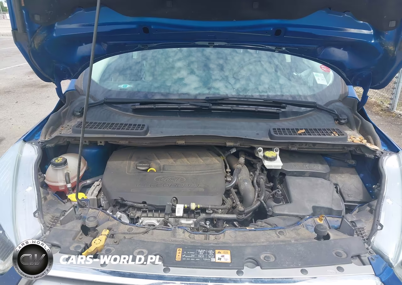 2017 Ford Escape Se VIN:1FMCU0GD1HUC18829 - 10