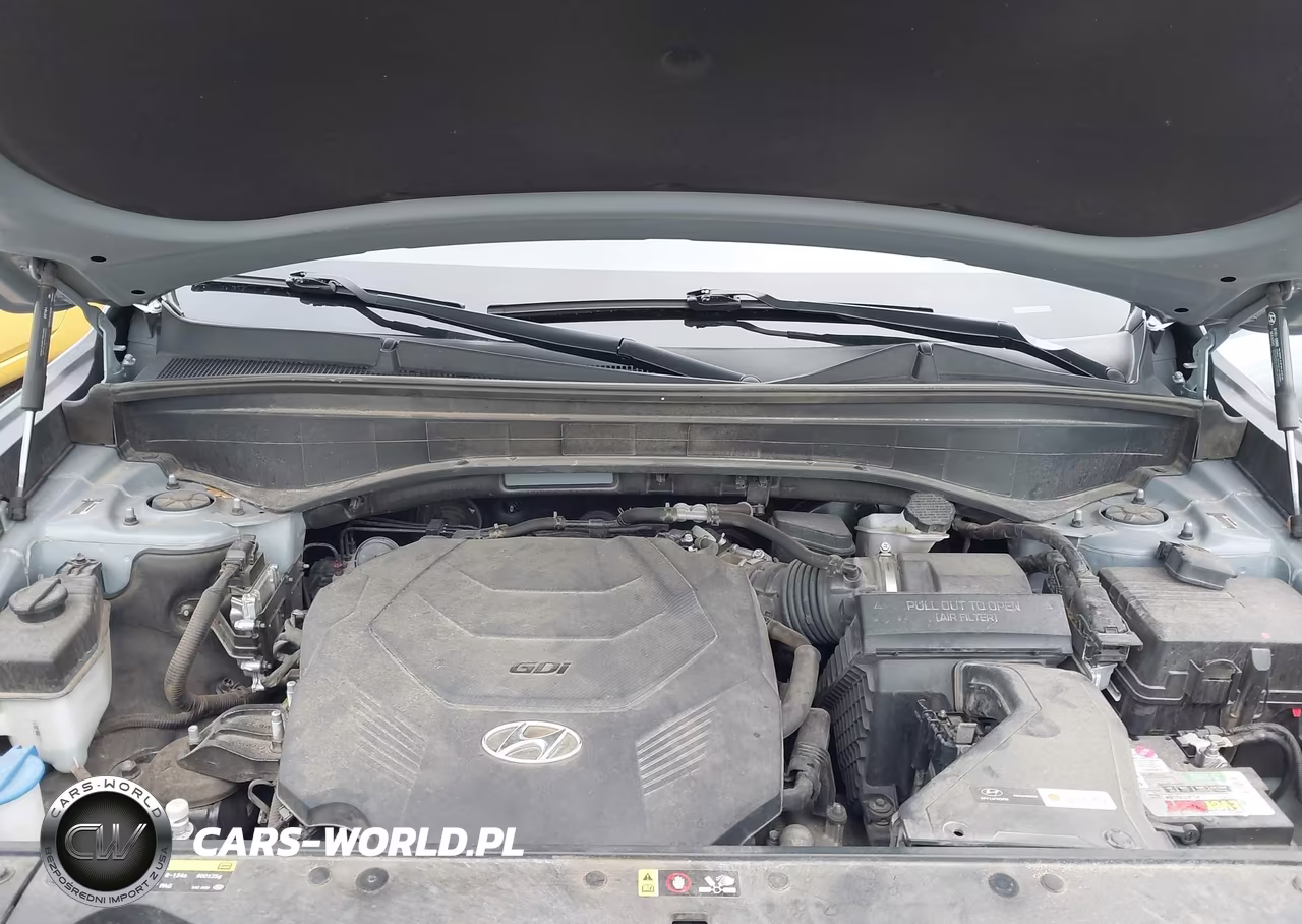 2020 Hyundai Palisade Limited VIN:KM8R5DHE5LU110843 - 10