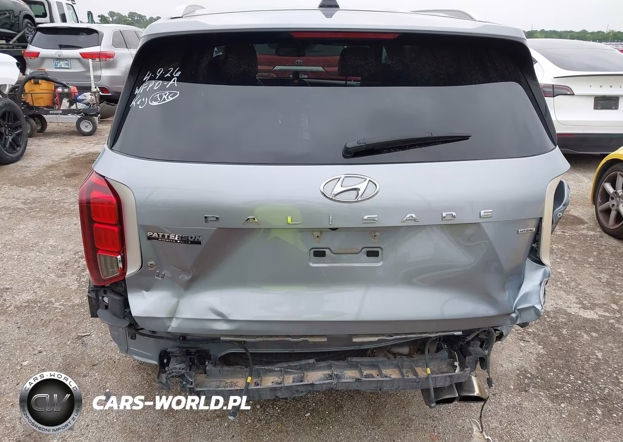2020 Hyundai Palisade Limited VIN:KM8R5DHE5LU110843 - 17