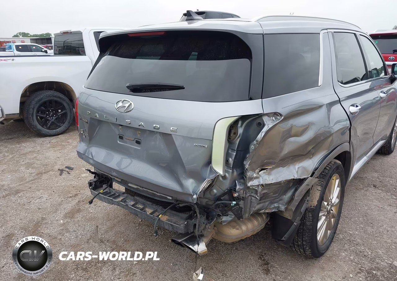 2020 Hyundai Palisade Limited VIN:KM8R5DHE5LU110843 - 6