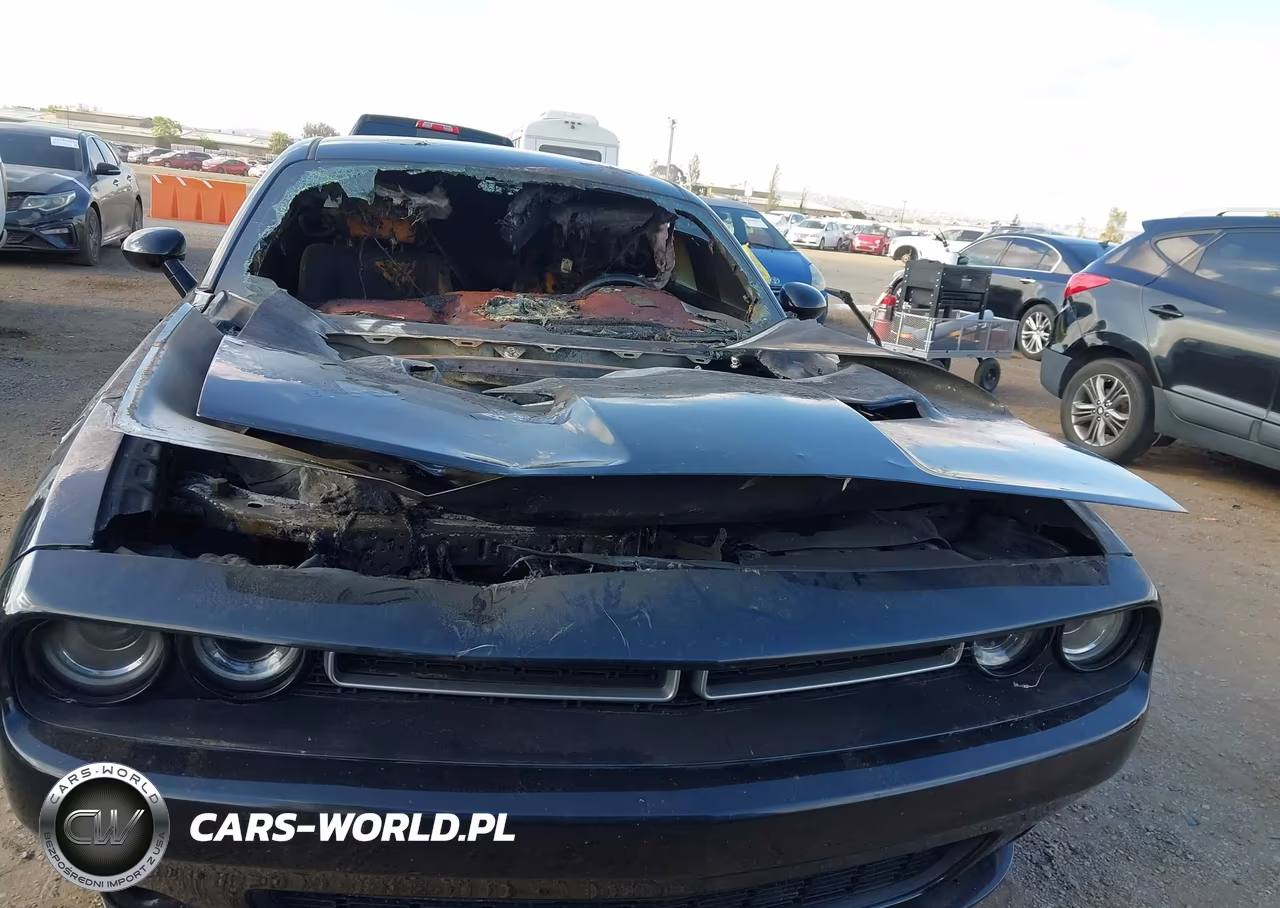 2018 Dodge Challenger Sxt VIN:2C3CDZAG8JH280429 - 12