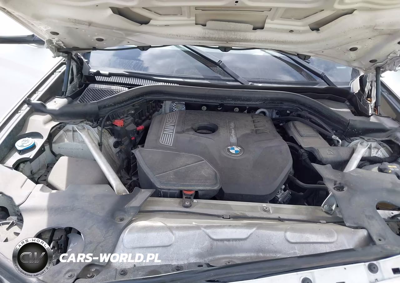 2019 BMW X3 Sdrive30I VIN:5UXTR7C56KLF28177 - 10