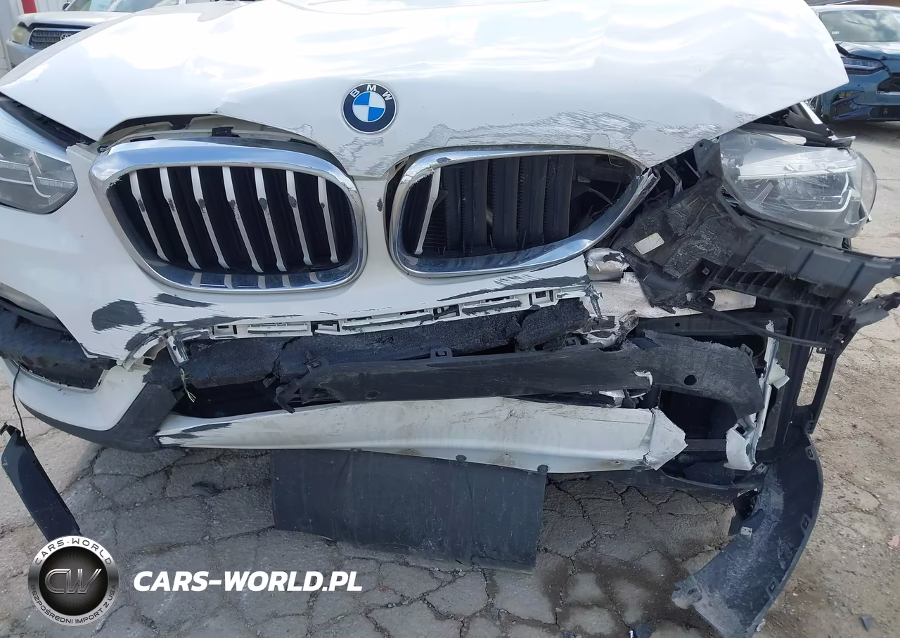 2019 BMW X3 Sdrive30I VIN:5UXTR7C56KLF28177 - 6