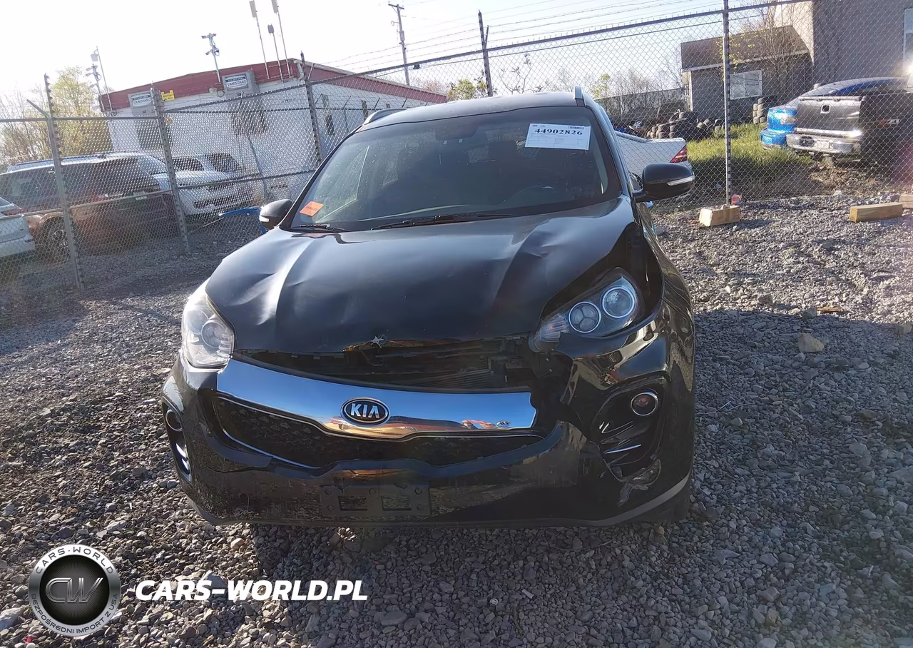 2019 Kia Sportage Ex VIN:KNDPNCAC2K7562972 - 13