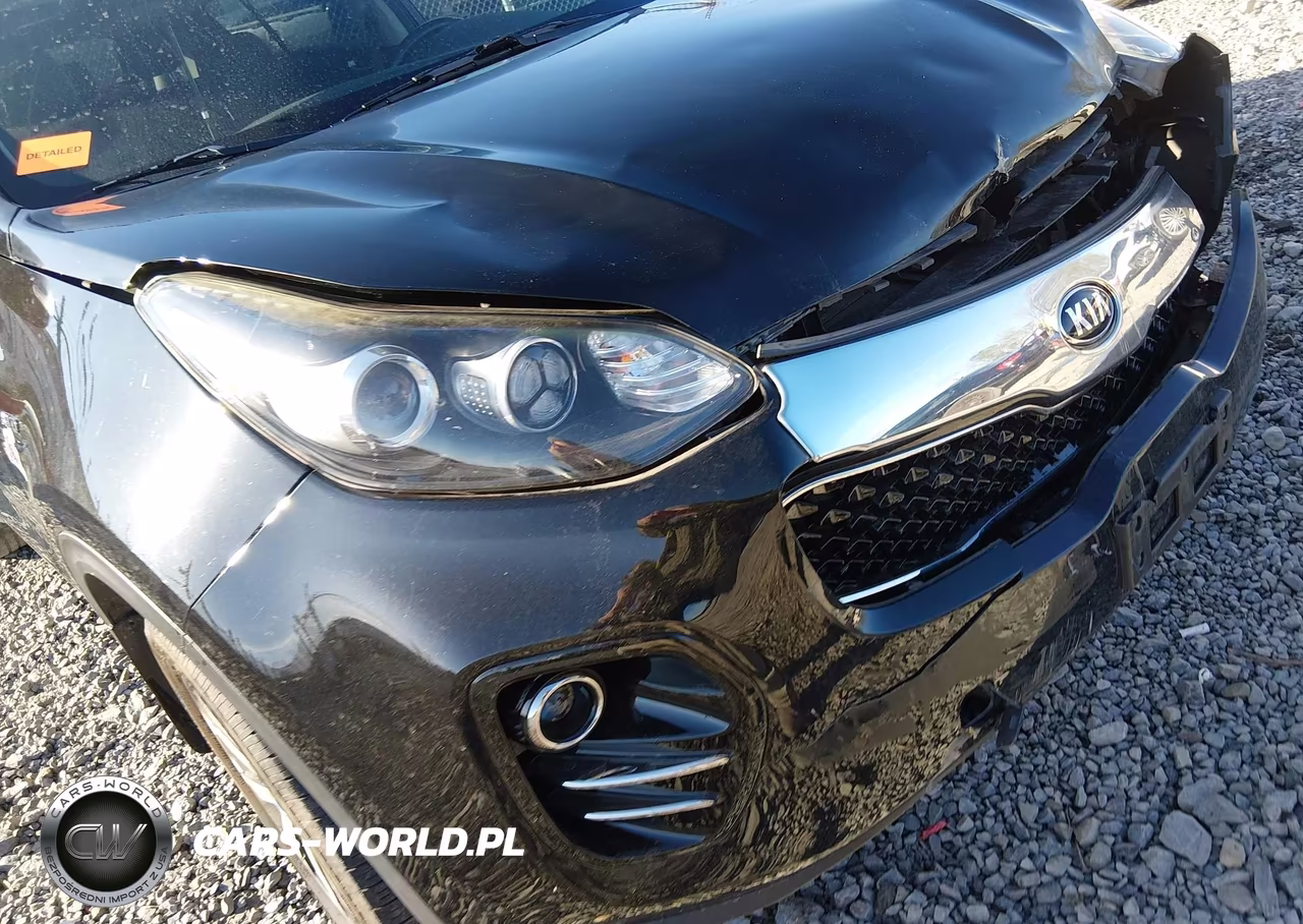 2019 Kia Sportage Ex VIN:KNDPNCAC2K7562972 - 19
