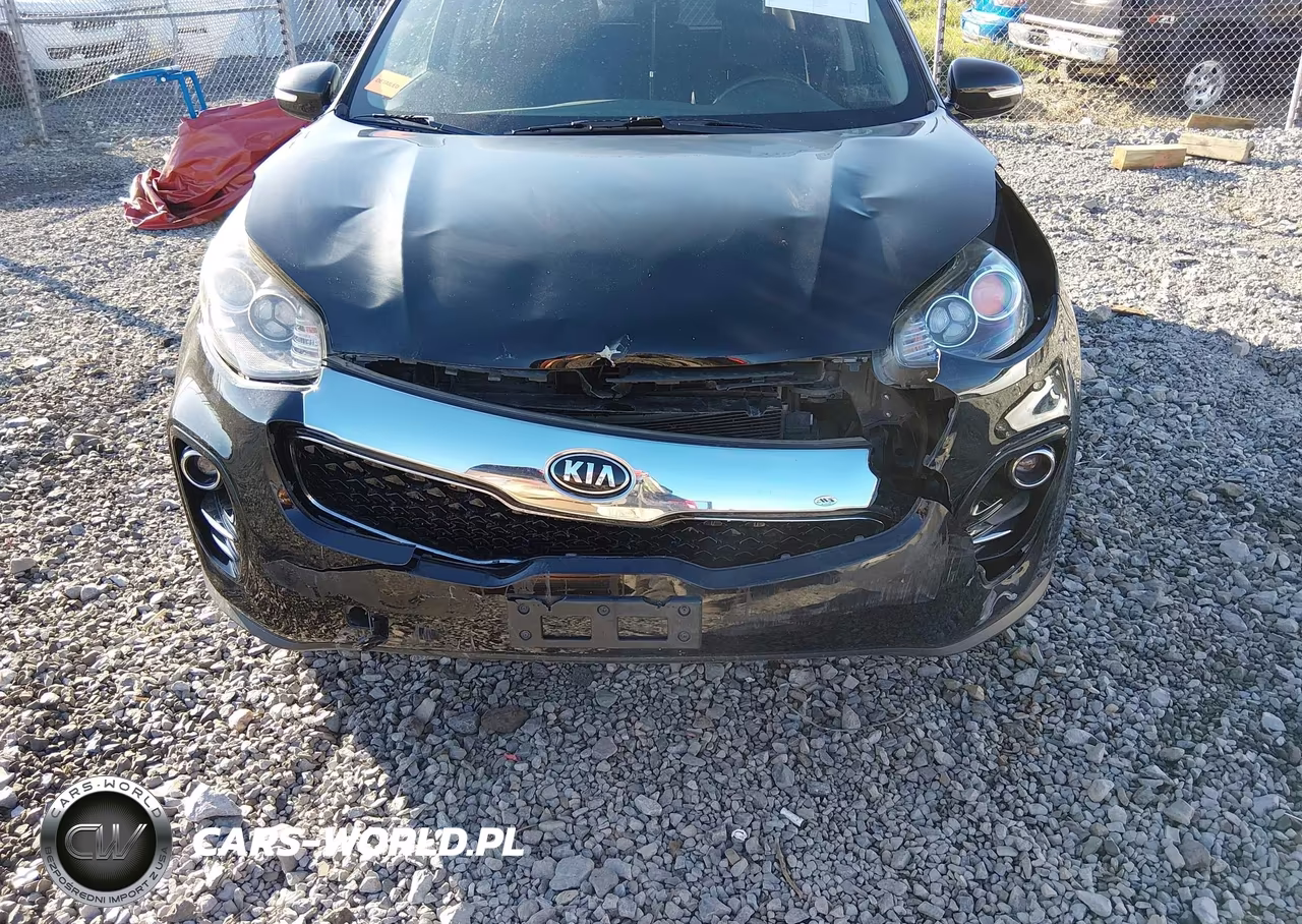 2019 Kia Sportage Ex VIN:KNDPNCAC2K7562972 - 6