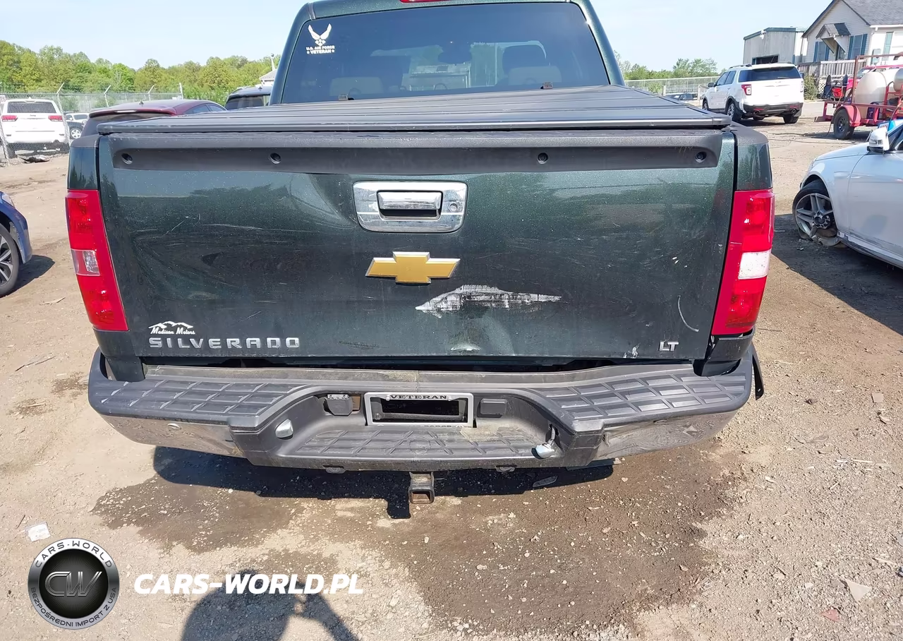 2013 Chevrolet Silverado 1500 Lt VIN:3GCPCSE01DG186448 - 17