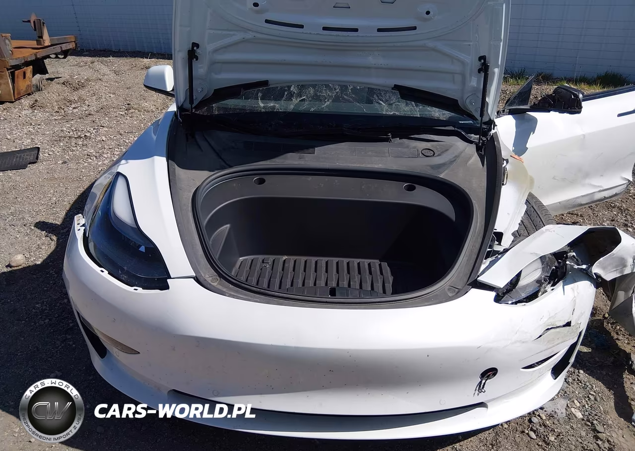 2022 Tesla Model 3 Long Range Dual Motor All-Wheel Drive VIN:5YJ3E1EB4NF318131 - 10