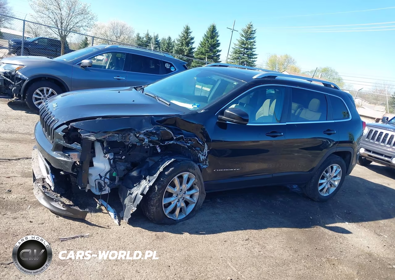 2017 Jeep Cherokee Limited VIN:1C4PJMDS3HW507031 - 14