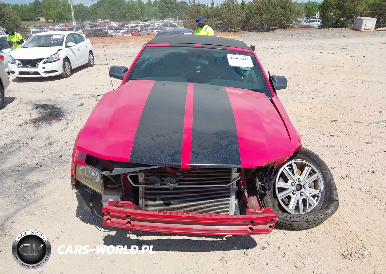 2008 Ford Mustang V6 Deluxe-V6 Premium VIN:1ZVHT84N085182079 - 12
