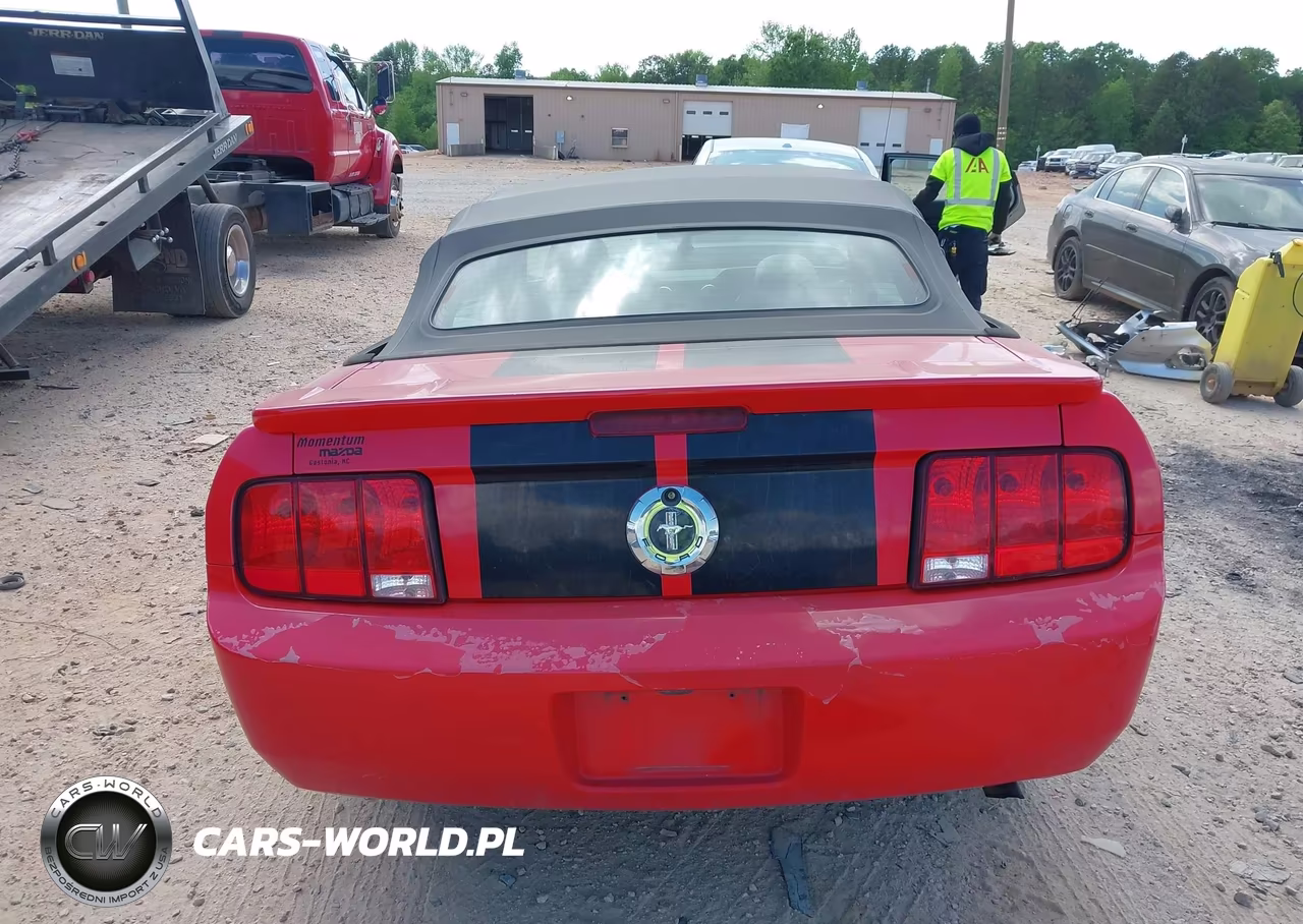 2008 Ford Mustang V6 Deluxe-V6 Premium VIN:1ZVHT84N085182079 - 16