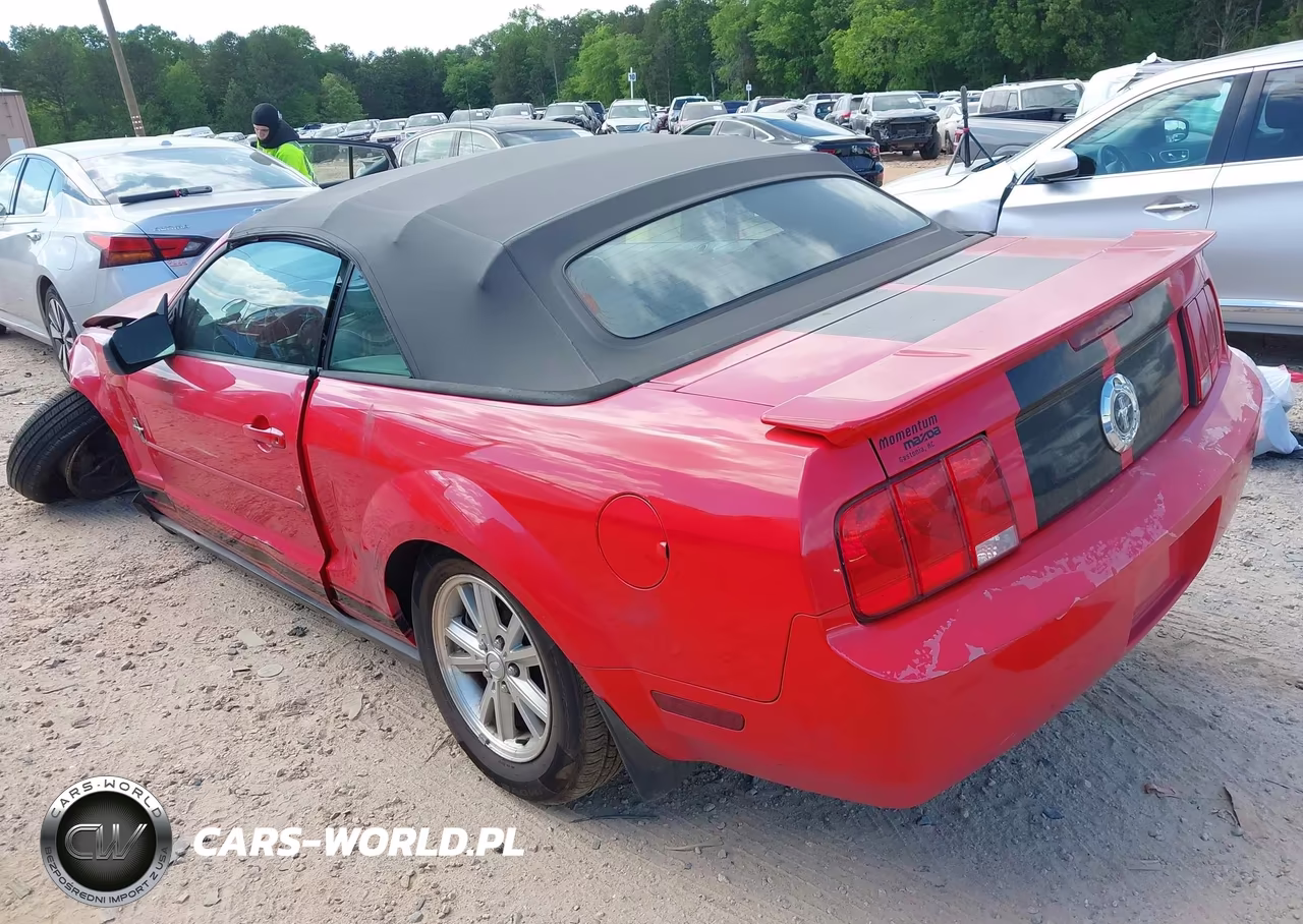 2008 Ford Mustang V6 Deluxe-V6 Premium VIN:1ZVHT84N085182079 - 3