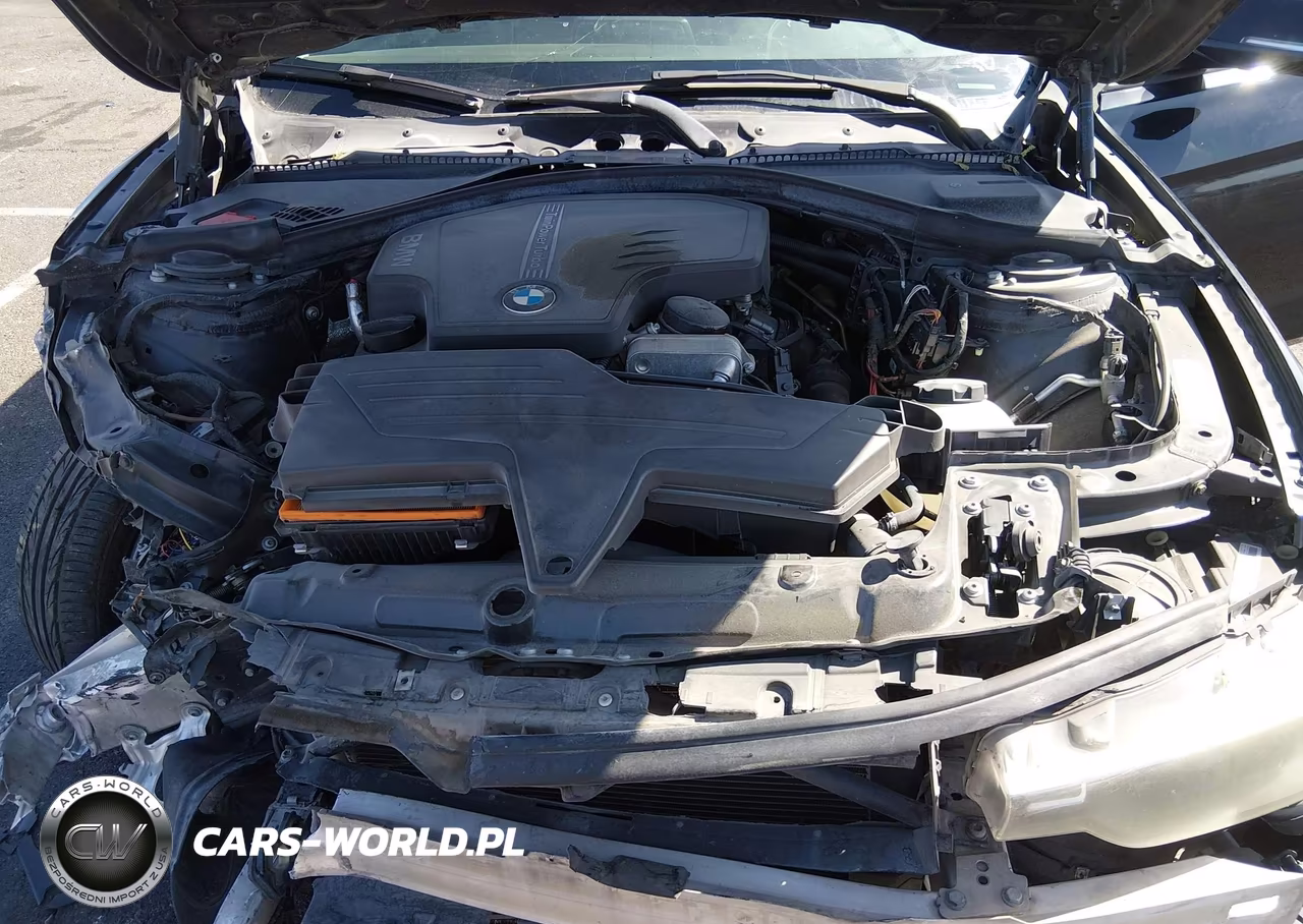2013 BMW 320I VIN:WBA3B1C55DK129489 - 10
