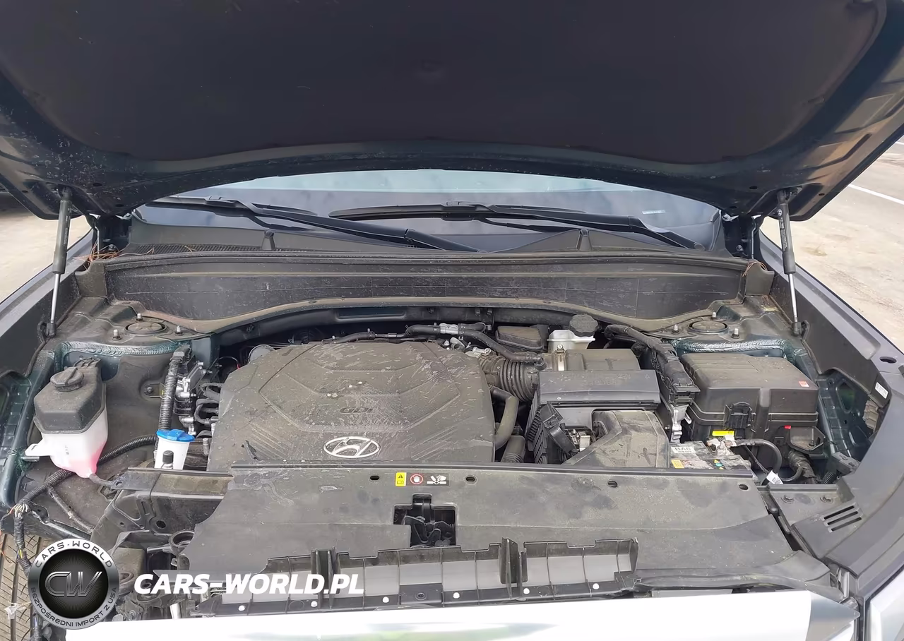 2024 Hyundai Palisade Calligraphy VIN:KM8R7DGE2RU729341 - 10