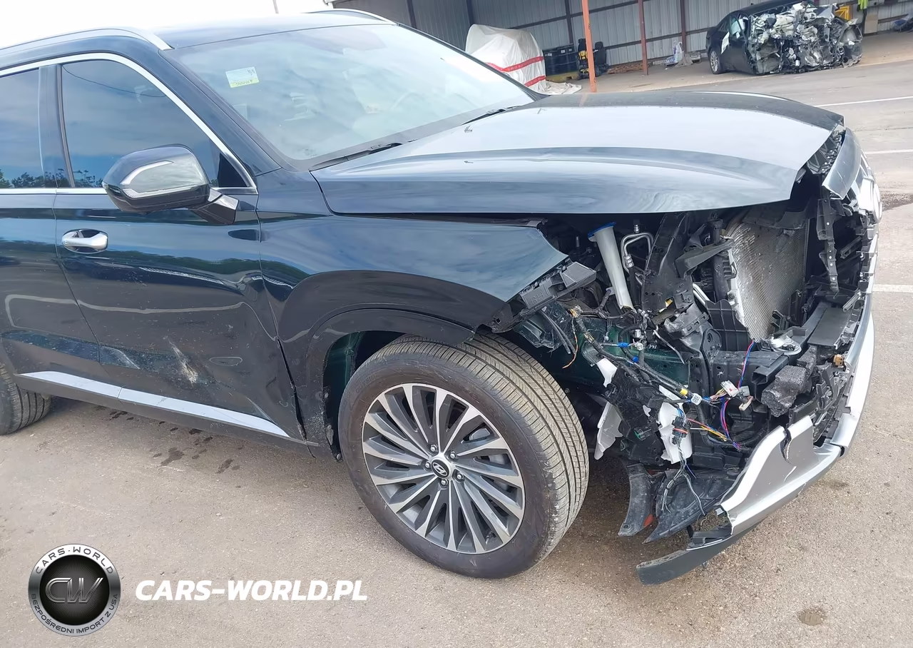 2024 Hyundai Palisade Calligraphy VIN:KM8R7DGE2RU729341 - 12