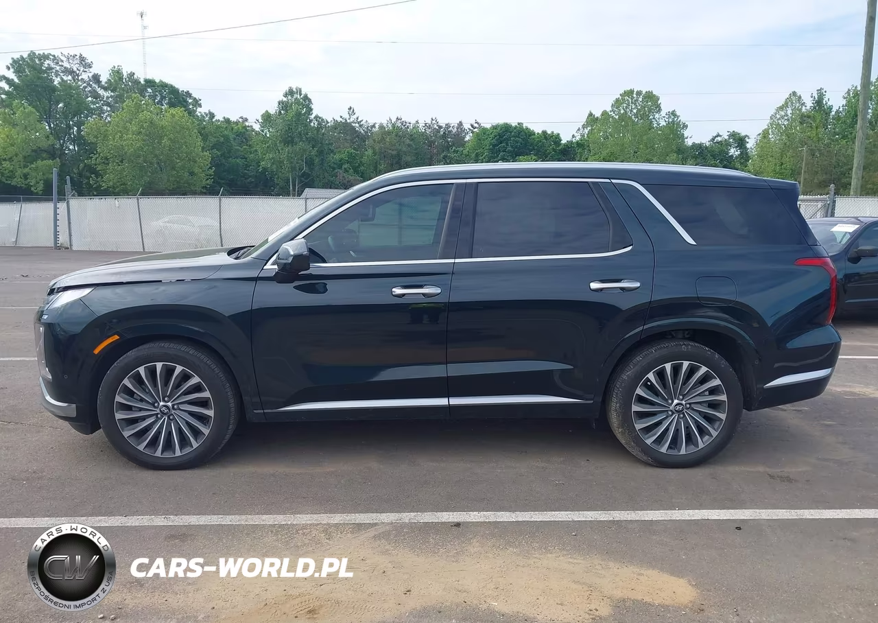2024 Hyundai Palisade Calligraphy VIN:KM8R7DGE2RU729341 - 15