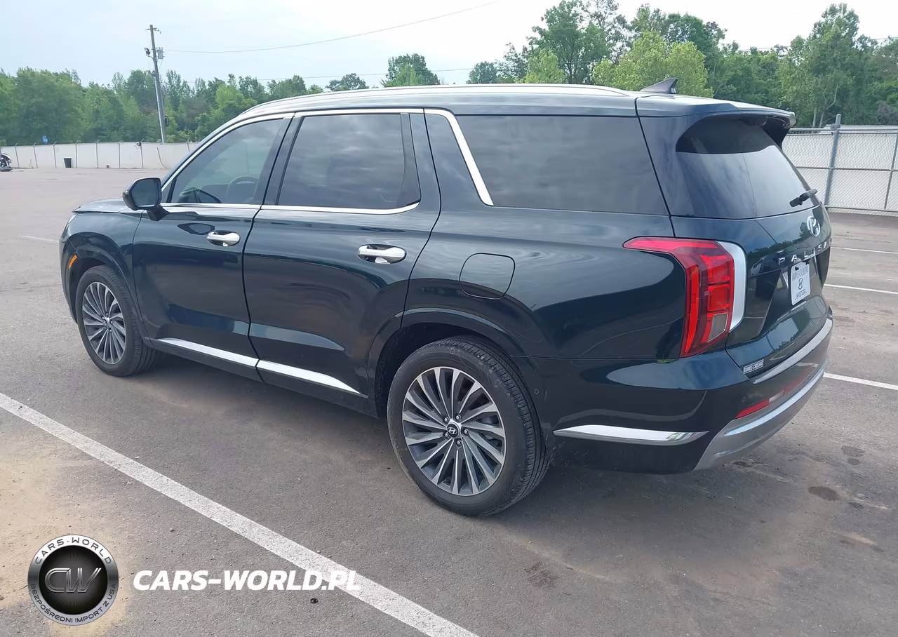 2024 Hyundai Palisade Calligraphy VIN:KM8R7DGE2RU729341 - 3