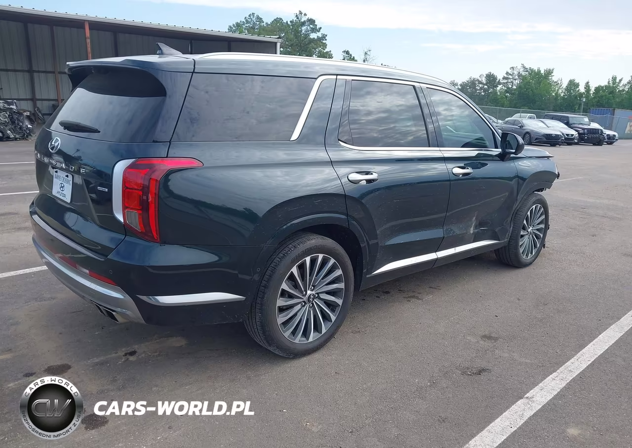 2024 Hyundai Palisade Calligraphy VIN:KM8R7DGE2RU729341 - 4