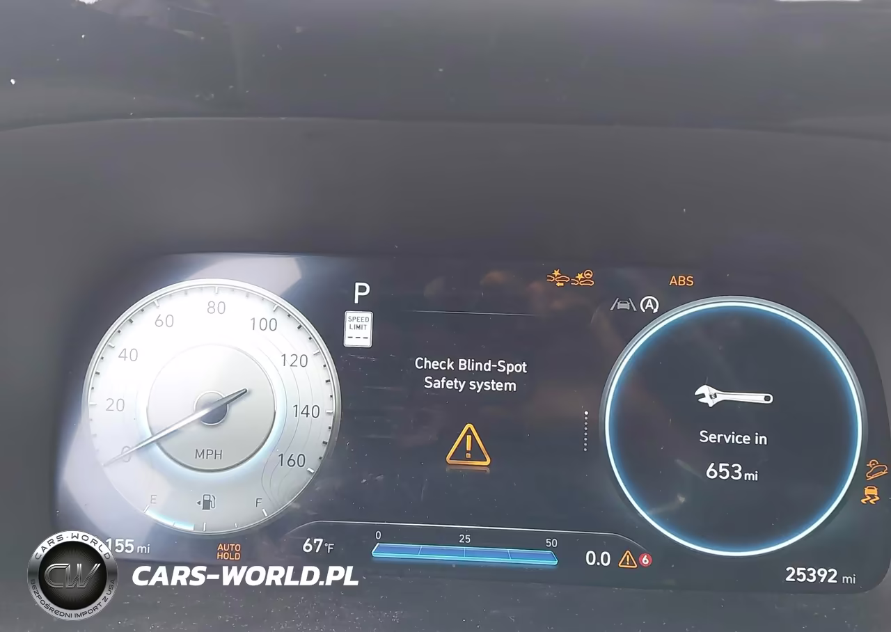 2024 Hyundai Palisade Calligraphy VIN:KM8R7DGE2RU729341 - 7