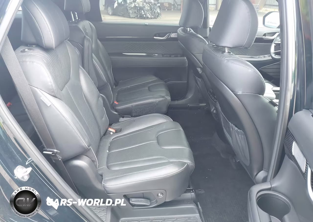 2024 Hyundai Palisade Calligraphy VIN:KM8R7DGE2RU729341 - 8