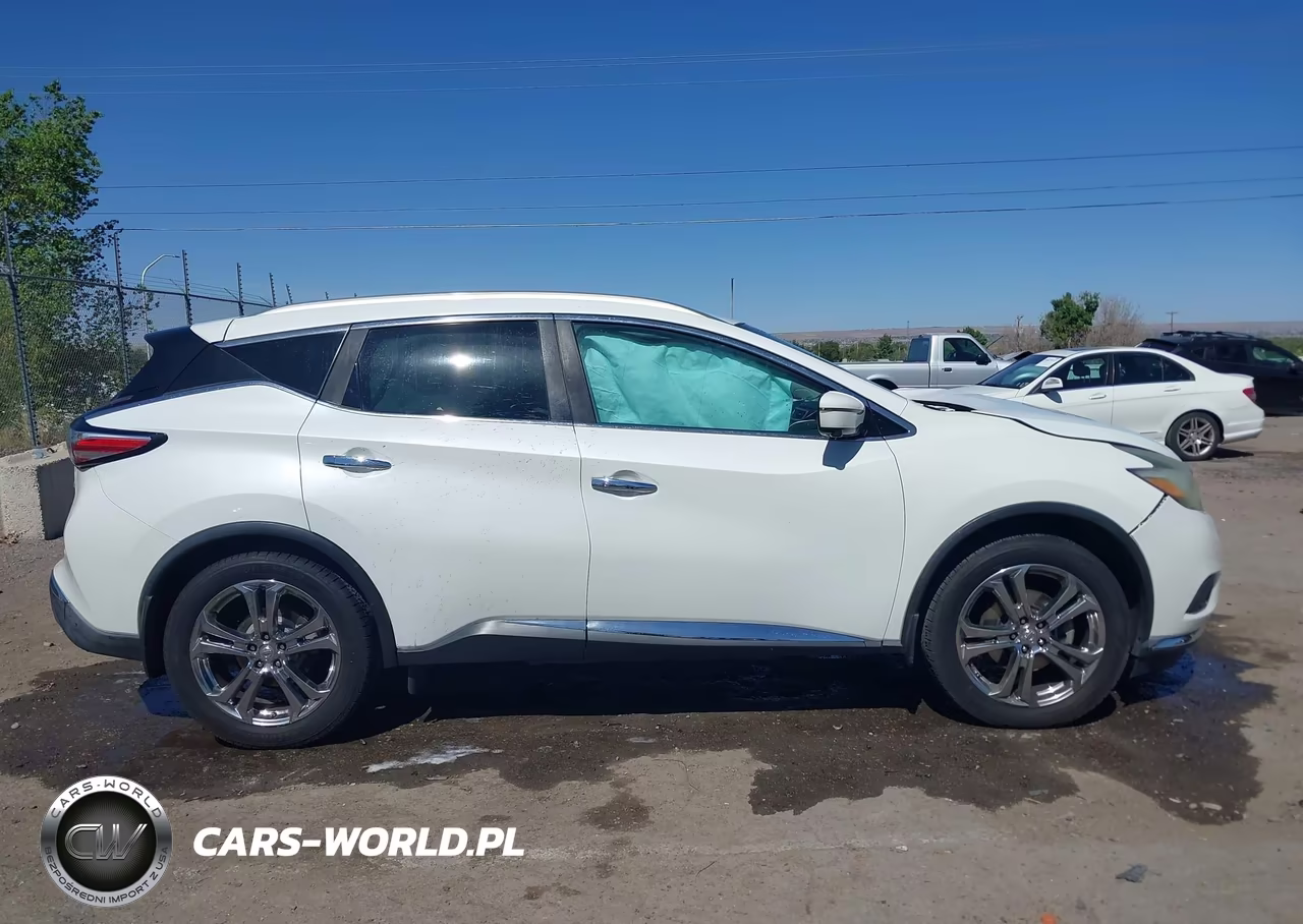 2016 Nissan Murano Platinum VIN:5N1AZ2MG3GN125905 - 13