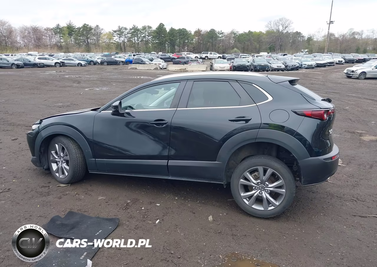 2024 Mazda Cx-30 2.5 S Preferred Package VIN:3MVDMBCM2RM607185 - 14