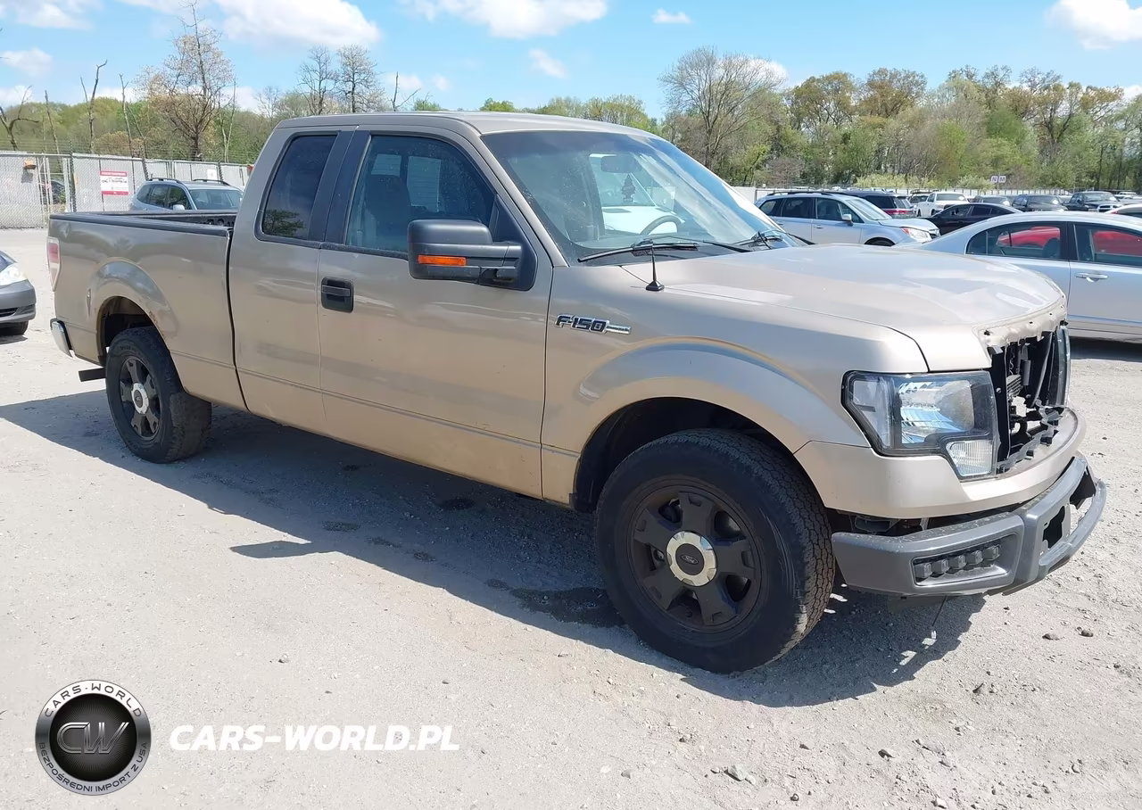 2013 Ford F-150 Xlt – zdjęcie 1 z 16
