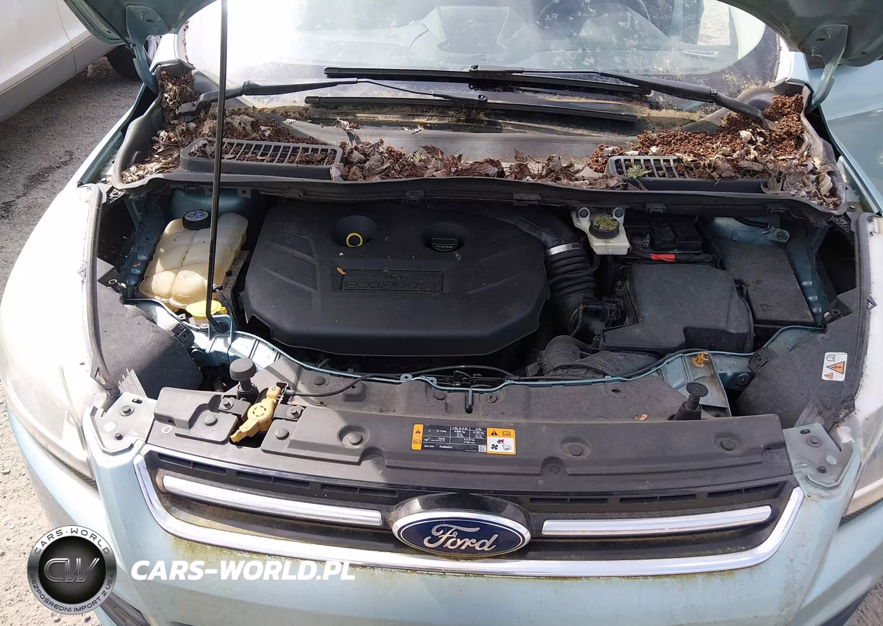 2013 Ford Escape Titanium VIN:1FMCU9J96DUB46772 - 10