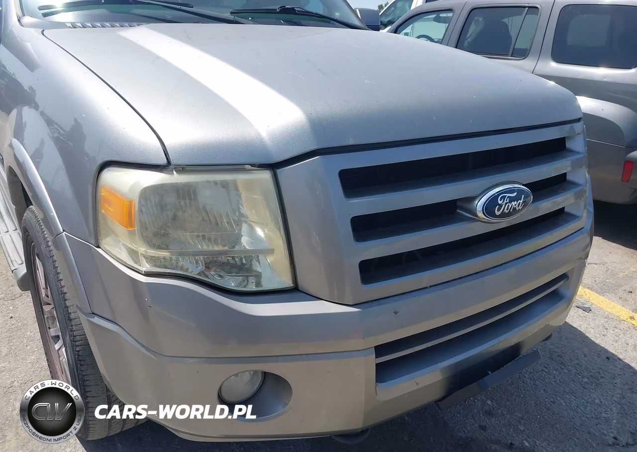 2008 Ford Expedition Limited VIN:1FMFU20558LA13175 - 6