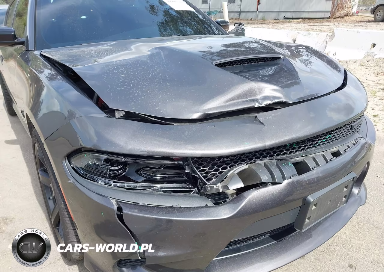 2023 Dodge Charger R-T VIN:2C3CDXCT4PH523211 - 6