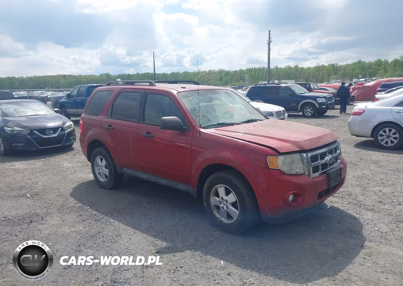 2010 Ford Escape Xlt