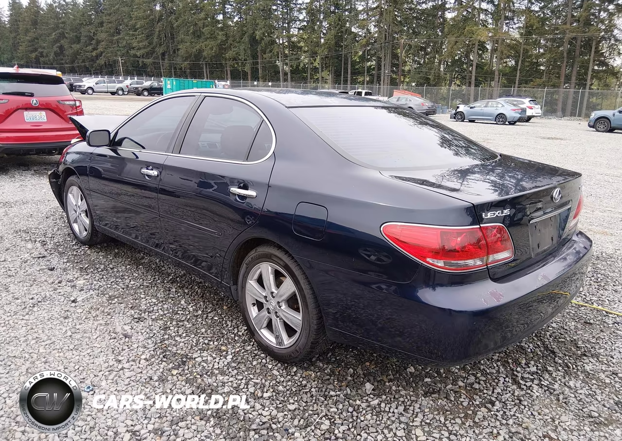 2005 Lexus Es 330 VIN:JTHBA30G655065433 - 3
