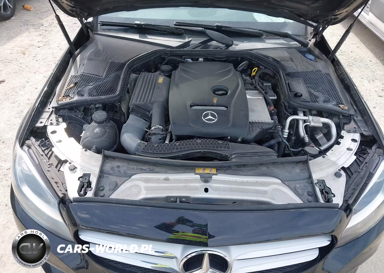 2016 Mercedes-Benz C 300 4Matic VIN:55SWF4KBXGU168432 - 10