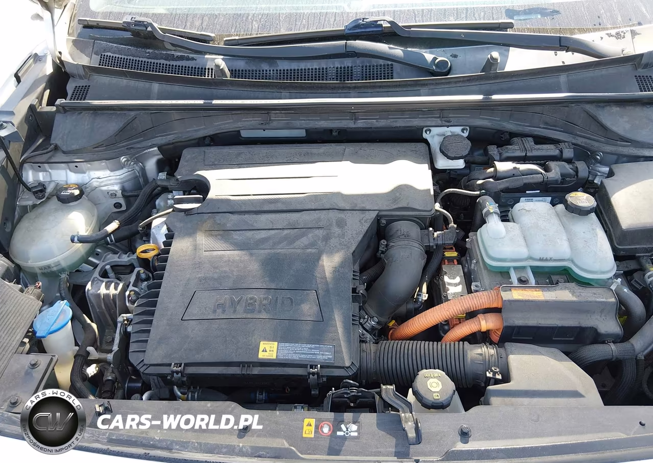 2017 Kia Niro Lx VIN:KNDCB3LC9H5096398 - 10