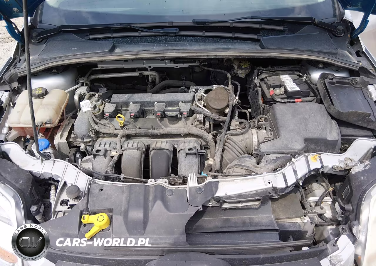 2014 Ford Focus Se VIN:1FADP3F28EL228864 - 10