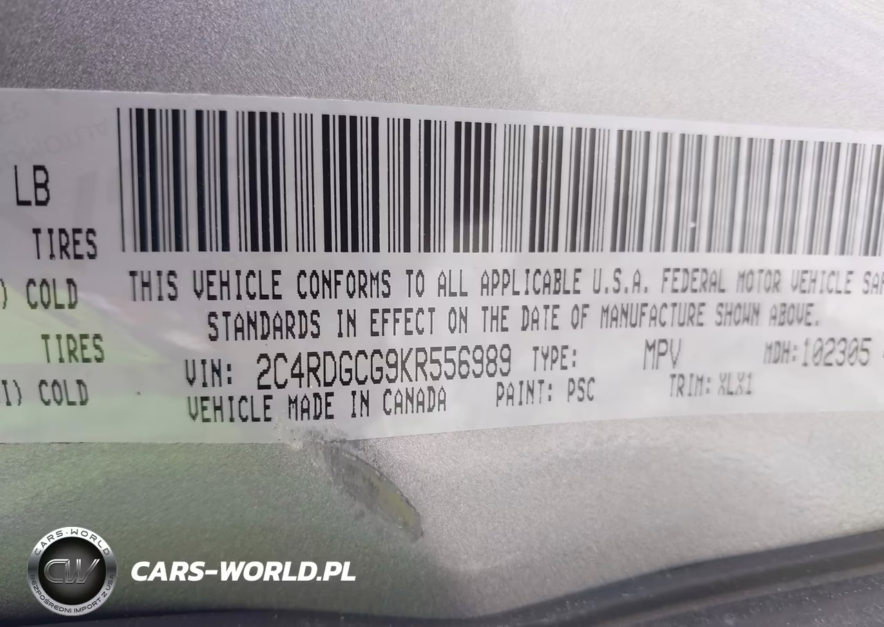 2019 Dodge Grand Caravan Sxt VIN:2C4RDGCG9KR556989 - 9
