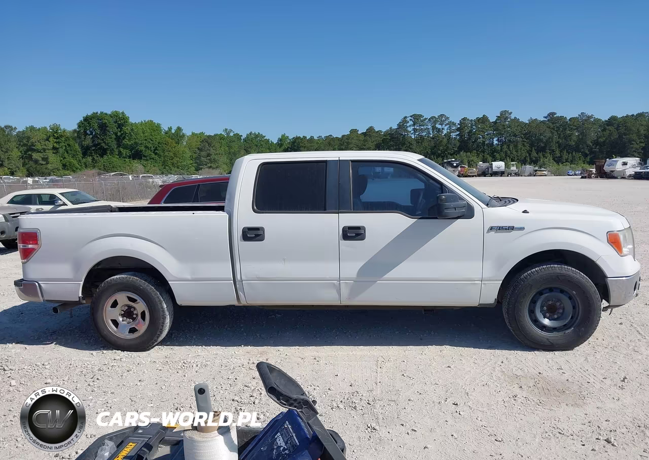 2011 Ford F-150 Xlt VIN:1FTFW1CF7BFC95869 - 13