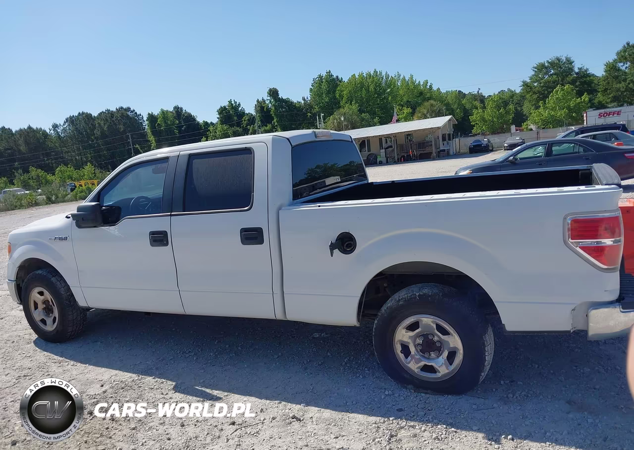 2011 Ford F-150 Xlt VIN:1FTFW1CF7BFC95869 - 14