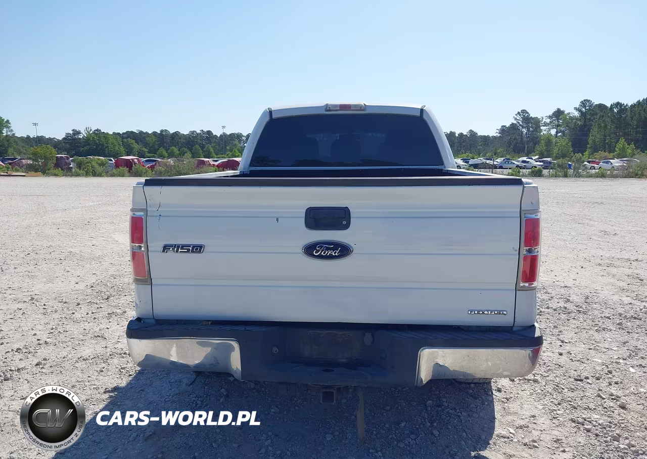 2011 Ford F-150 Xlt VIN:1FTFW1CF7BFC95869 - 16