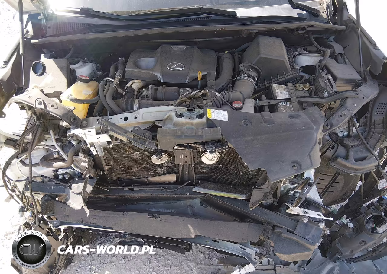 2016 Lexus Nx 200T VIN:JTJYARBZXG2036662 - 10