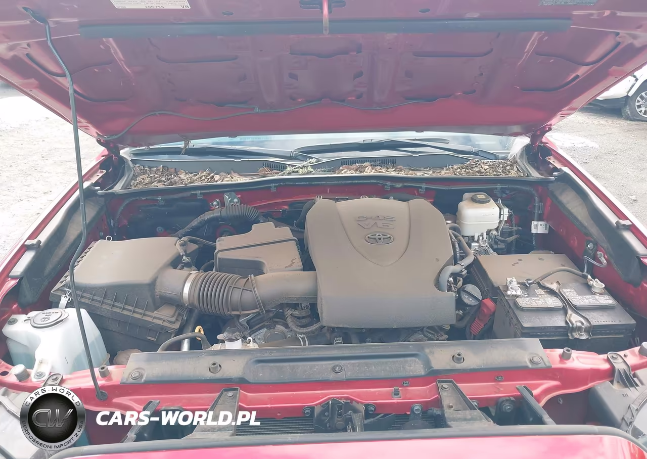 2023 Toyota Tacoma Sr V6-Sr5 V6-Trail Edition-Trd Off Road-Trd Pro-Trd Sport VIN:3TYCZ5AN8PT167146 - 10