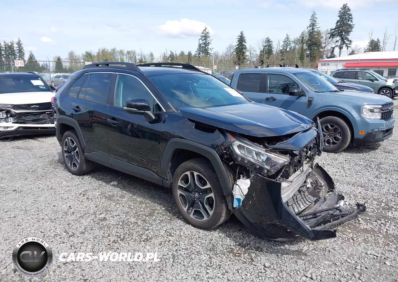 2019 Toyota Rav4 Adventure