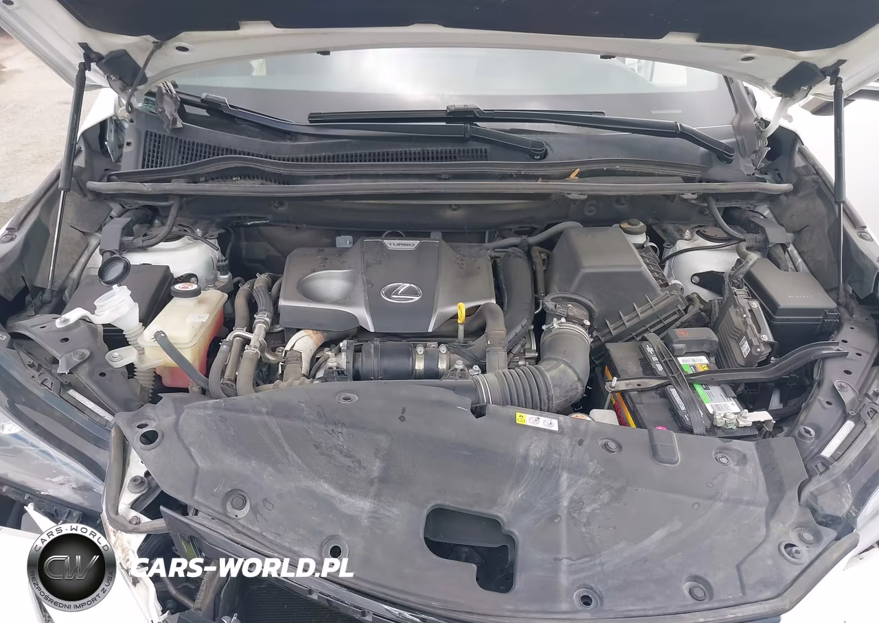 2020 Lexus Nx 300 VIN:JTJGARBZ9L2170603 - 10