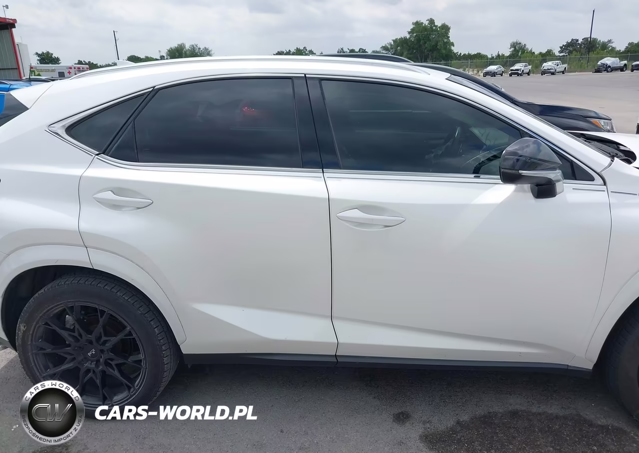 2020 Lexus Nx 300 VIN:JTJGARBZ9L2170603 - 12