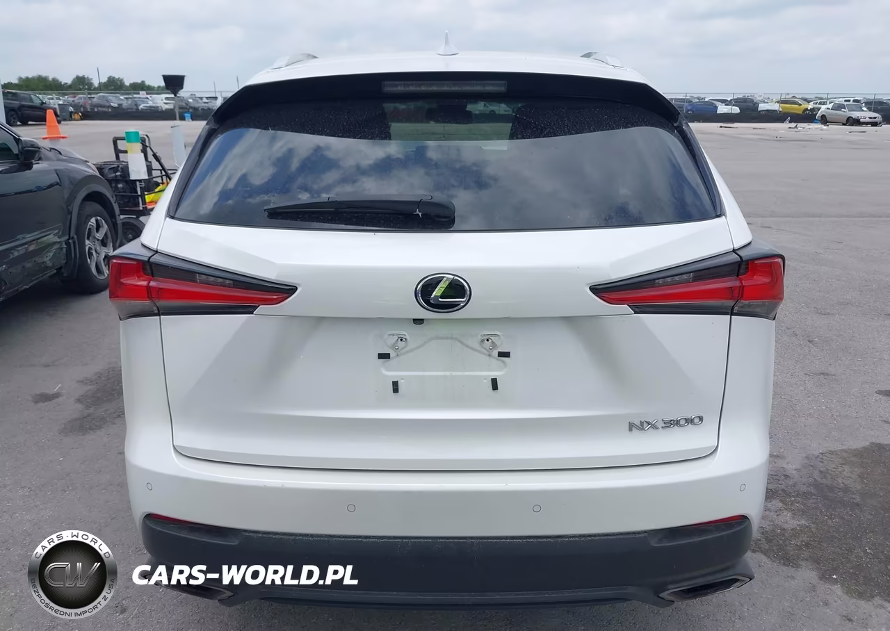 2020 Lexus Nx 300 VIN:JTJGARBZ9L2170603 - 15