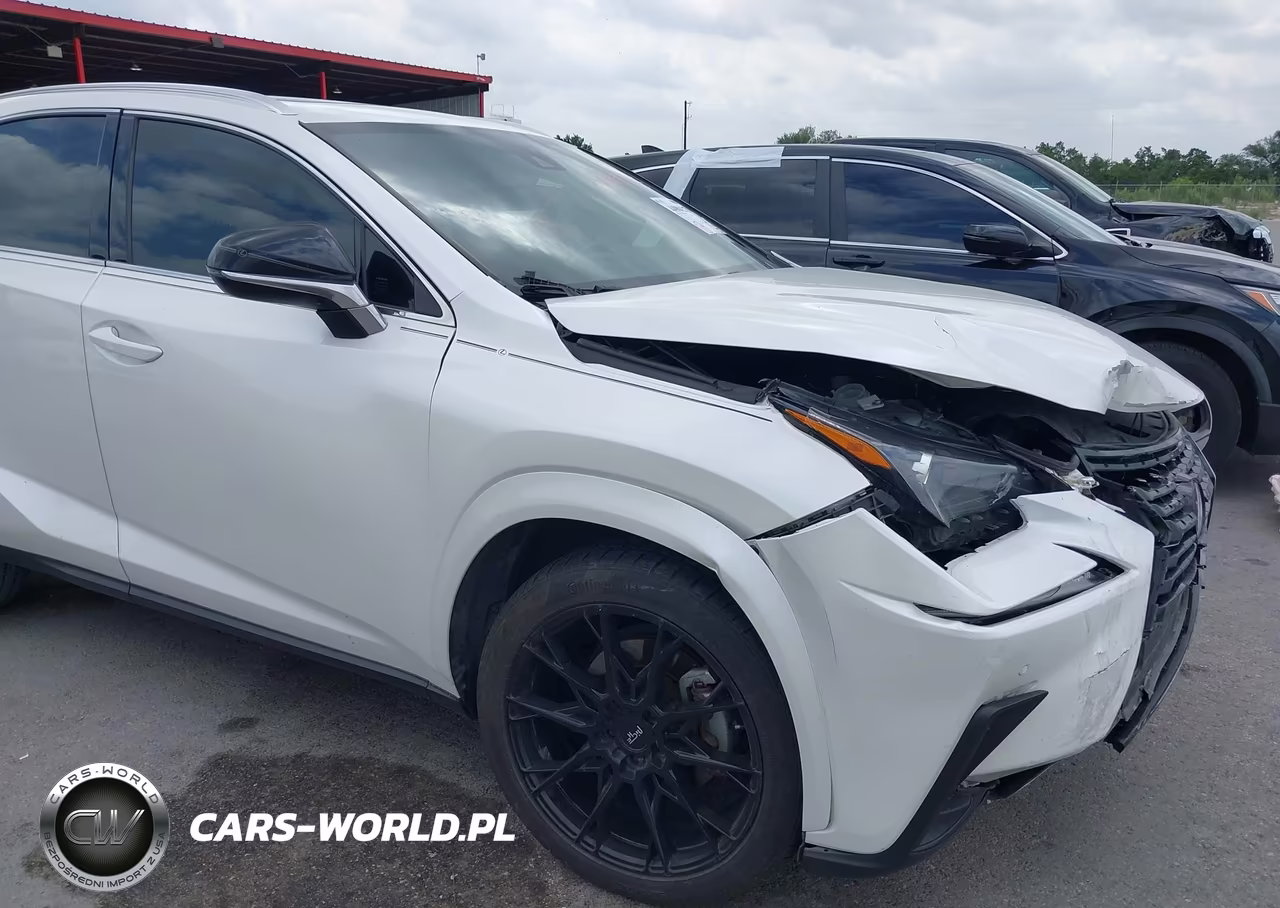 2020 Lexus Nx 300 VIN:JTJGARBZ9L2170603 - 16